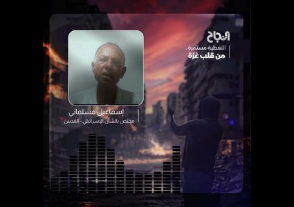 مسلماني: القضاء الإسرائيلي يتحدى الحكومة ويدافع عن حجة المعقولية