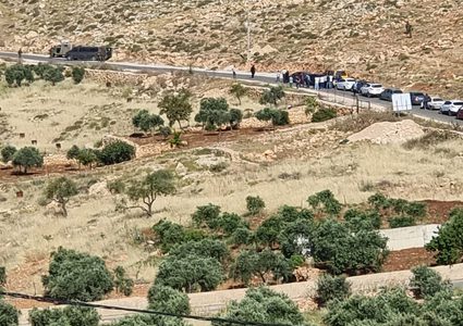 الاحتلال يعتقل فتى ويصادر 60 رأس غنم شرق بيت لحم