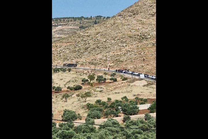 الاحتلال يعتقل فتى ويصادر 60 رأس غنم شرق بيت لحم