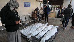 12 مجزرة- صحة غزة- ارتفاع حصيلة شهداء غزة الى 22 ألفا و835 شهيدا