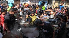 "بتسيلم": 2.2 مليون شخص في قطاع غزة يعانون الجوع