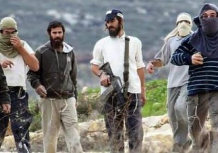 مستوطنون يطلقون الرصاص الحي صوب مزراعين في السموع والاحتلال يعتقل اثنين منهما