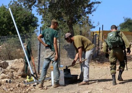 مستوطنون يستولون على كهوف في برية تقوع شرق بيت لحم