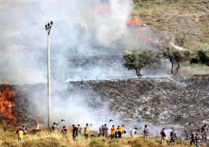 مستوطنون يحرقون أشجار زيتون وغرفة زراعية غرب سلفيت