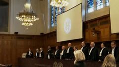 انطلاق أولى جلسات محكمة العدل الدولية بشأن دعوى جنوب أفريقيا ضد إسرائيل