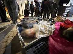 في أحدث حصيلة: 10 شهداء غالبيتهم أطفال وعدد من الجرحى إثر قصف الاحتلال لمنزل يأوي نازحين قرب معبر رفح جنوب قطاع غزة.