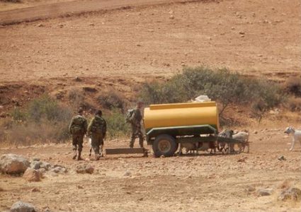 الاحتلال يفرض غرامة مالية على مزارع مقابل الافراح عن ابقاره