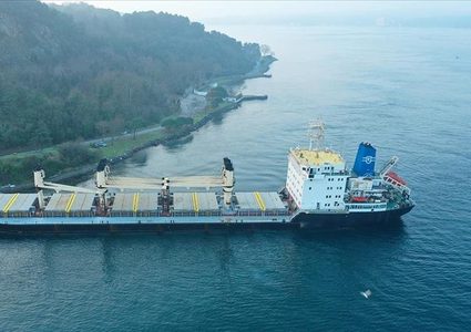 تعليق حركة السفن في البحر الأحمر لشركة يابانية بشكل مؤقت