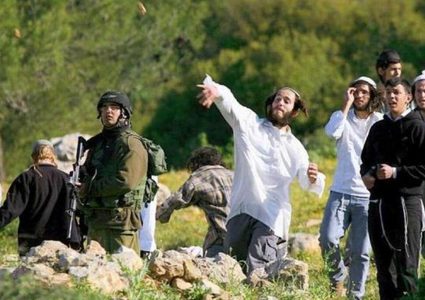 مستوطنون يعتدون على المزارعين ويمنعونهم من الوصول إلى أراضيهم جنوب الخليل