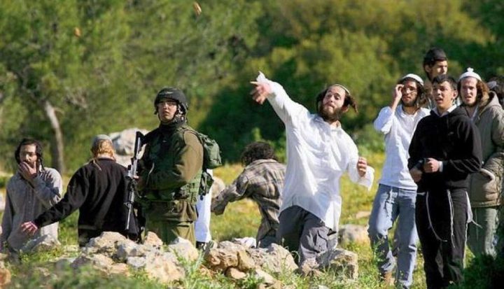 مستوطنون يعتدون على المزارعين ويمنعونهم من الوصول إلى أراضيهم جنوب الخليل