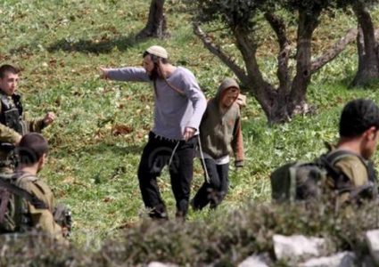 مستوطنون يعتدون بالضرب على مسنه جنوب الخليل ويسرقون خرافها