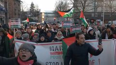 أول مسيرة أوروبية عابرة للحدود لدعم الفلسطينيين في غزة