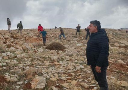 مستوطنون يعتدون على مواطنين ويسرقون أغناما شمال شرق رام الله