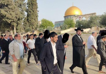 الأوقاف: الاحتلال اقتحم "الأقصى" 258 مرة ومنع رفع الأذان 704 أوقات في الإبراهيمي