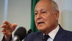 أبو الغيط يدعو إلى تنفيذ قرار "العدل الدولية" بشكل كامل وفوري