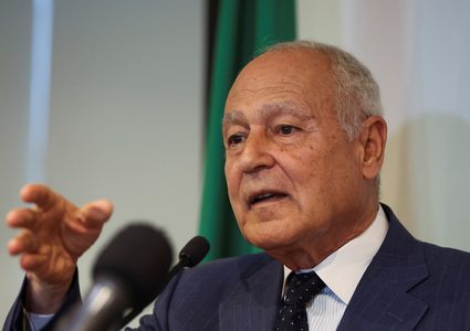 أبو الغيط يدعو إلى تنفيذ قرار "العدل الدولية" بشكل كامل وفوري