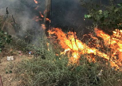 حرائق الغابات في كولومبيا أتت على أكثر من 17 ألف هكتار