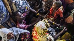 الأمم المتحدة: حوالي 8 ملايين نازح جراء حرب السودان