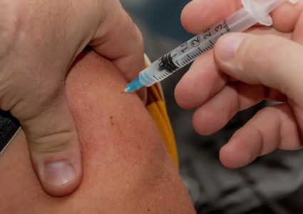 البرازيل: زيادة كبيرة في حالات حمى الضنك