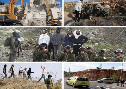مقاومة الجدار والاستيطان: 1593 اعتداء نفذها الاحتلال ومستوطنوه الشهر الماضي