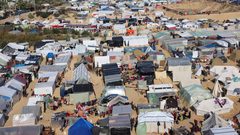 النازحون ينصبون خيامهم داخل الشريط الحدودي بحثا عن الأمان