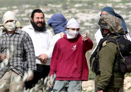 مستوطنون يعتدون على المواطنين ويتلفون محاصيل زراعية جنوب الخليل