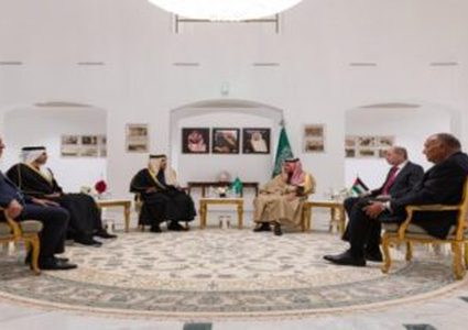 البرلمان العربي يطالب الشبكة البرلمانية لحركة عدم الانحياز بوقف الحرب على غزة