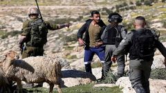 مستوطنون يعتدون على رعاة الماشية والمزارعين جنوب الخليل