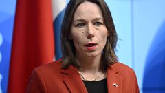 هولندا: الوضع في رفح مقلق للغاية