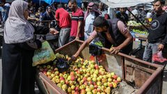 صندوق النقد: الحرب تدمر الاقتصاد الفلسطيني