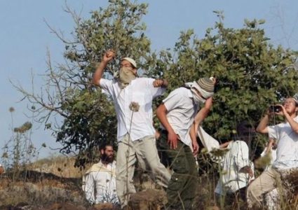 مستوطنون يهدمون عريشتين وحظيرة اغنام جنوب الخليل