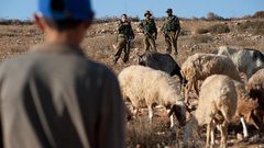 الاحتلال يجبر الرعاة على مغادرة مراعيهم بالأغوار الشمالية