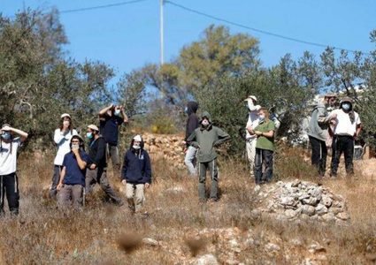 إصابة راعي أغنام بجروح إثر اعتداء المستوطنين عليه شمال البيرة