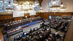 مصر تترافع أمام محكمة العدل الدولية الأربعاء بشأن ممارسات إسرائيل