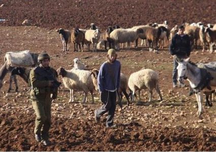 مستوطنون يهاجمون رعاة أغنام شرق يطا