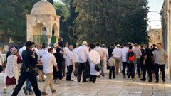 مستوطنون يقتحمون باحات المسجد الأقصى