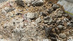 الأهالي ينقون الحبوب من مخلفات الدواب وأعلاف تسمين الدواجن لصناعة الخبز