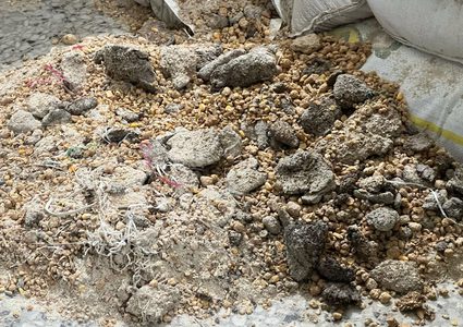 الأهالي ينقون الحبوب من مخلفات الدواب وأعلاف تسمين الدواجن لصناعة الخبز