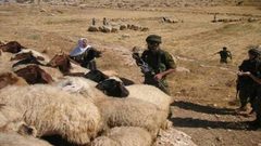 الاحتلال يطارد رعاة الأغنام ويخرب خط مياه في مسافر يطا