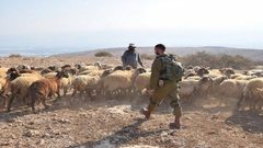 الاحتلال يطارد الرعاة ويهدد وجودهم جنوب الخليل