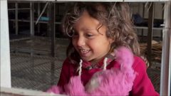 أسر فلسطينية نازحة تلجأ لمزرعة دجاج في رفح هربا من الحرب