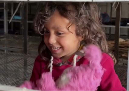 أسر فلسطينية نازحة تلجأ لمزرعة دجاج في رفح هربا من الحرب