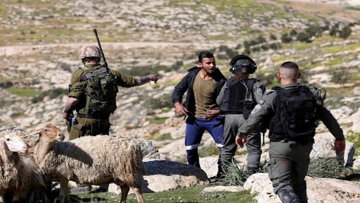 مستعمرون يهاجمون رعاة الأغنام جنوب بيت لحم