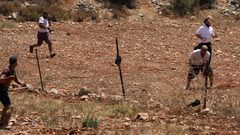 مستوطنون يدمرون أسلاكا شائكة جنوب شرق بيت لحم