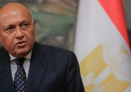 مصر: تجاهل بعض الأطراف معاناة الفلسطينيين "أمر مشين"