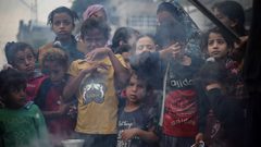 وفاة طفل بسبب نقص الغذاء في مستشفى الشفاء