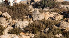 مستوطنون يهاجمون تجمعا بدويا غرب أريحا