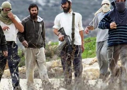 مستعمر يدهس مواطنا جنوب نابلس