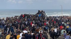 في غزة الطحين يمتزج بالدم والرغبة في البقاء على قيد الحياة