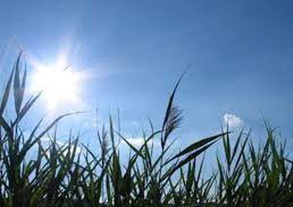 الطقس: ارتفاع طفيف على درجات الحرارة